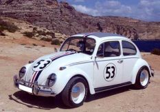 VW Beetle -