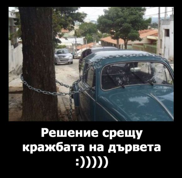 Добро решение срещу кражбата на дървета :)))