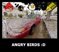 Angry Birds :))