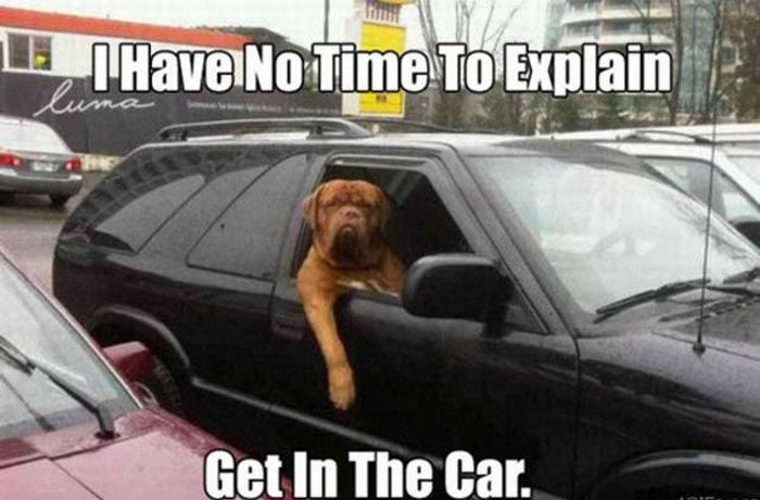 Няма време за обяснение, влизай в колата!!!